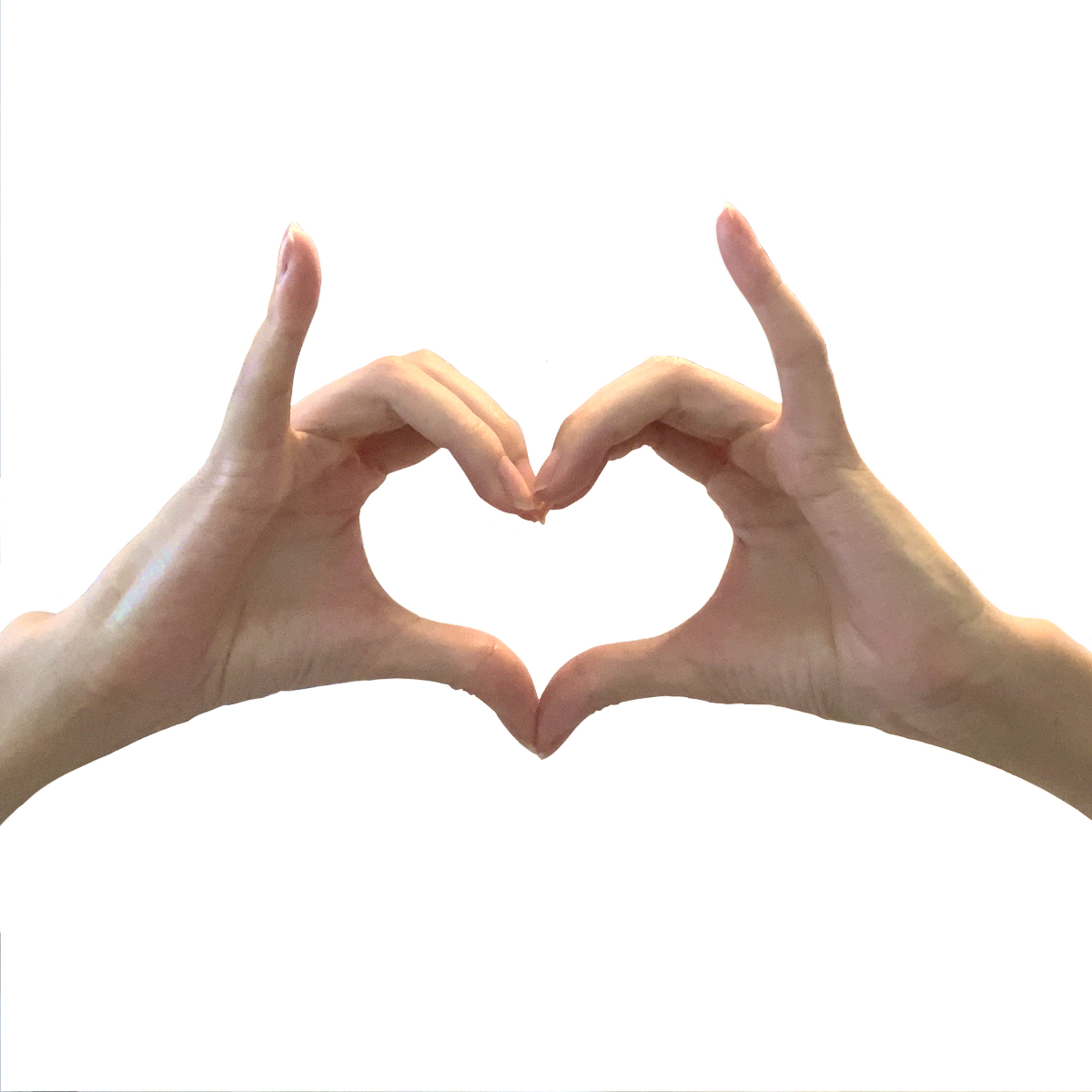 【両手】ハート [08]　写真
