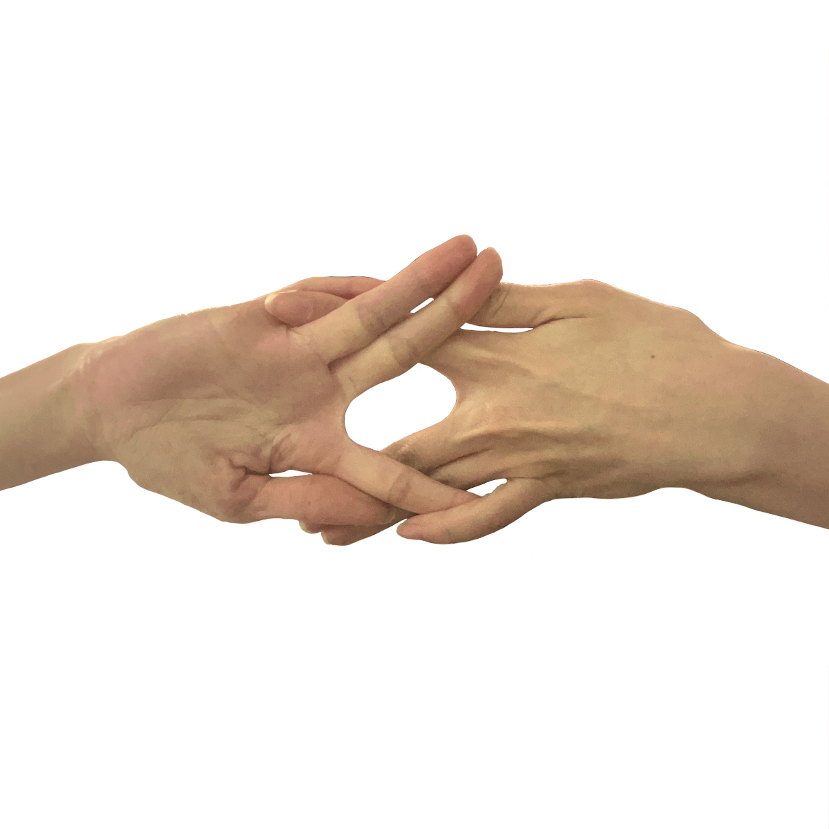 【両手】狐の窓[03]　写真