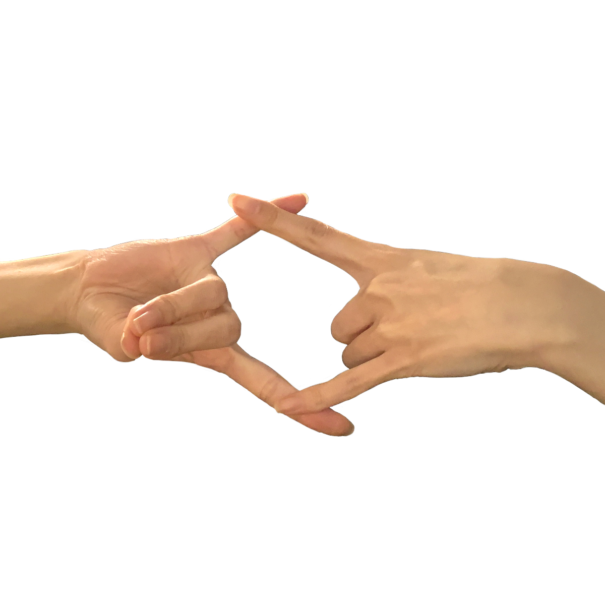 【両手】狐の窓[02]　写真