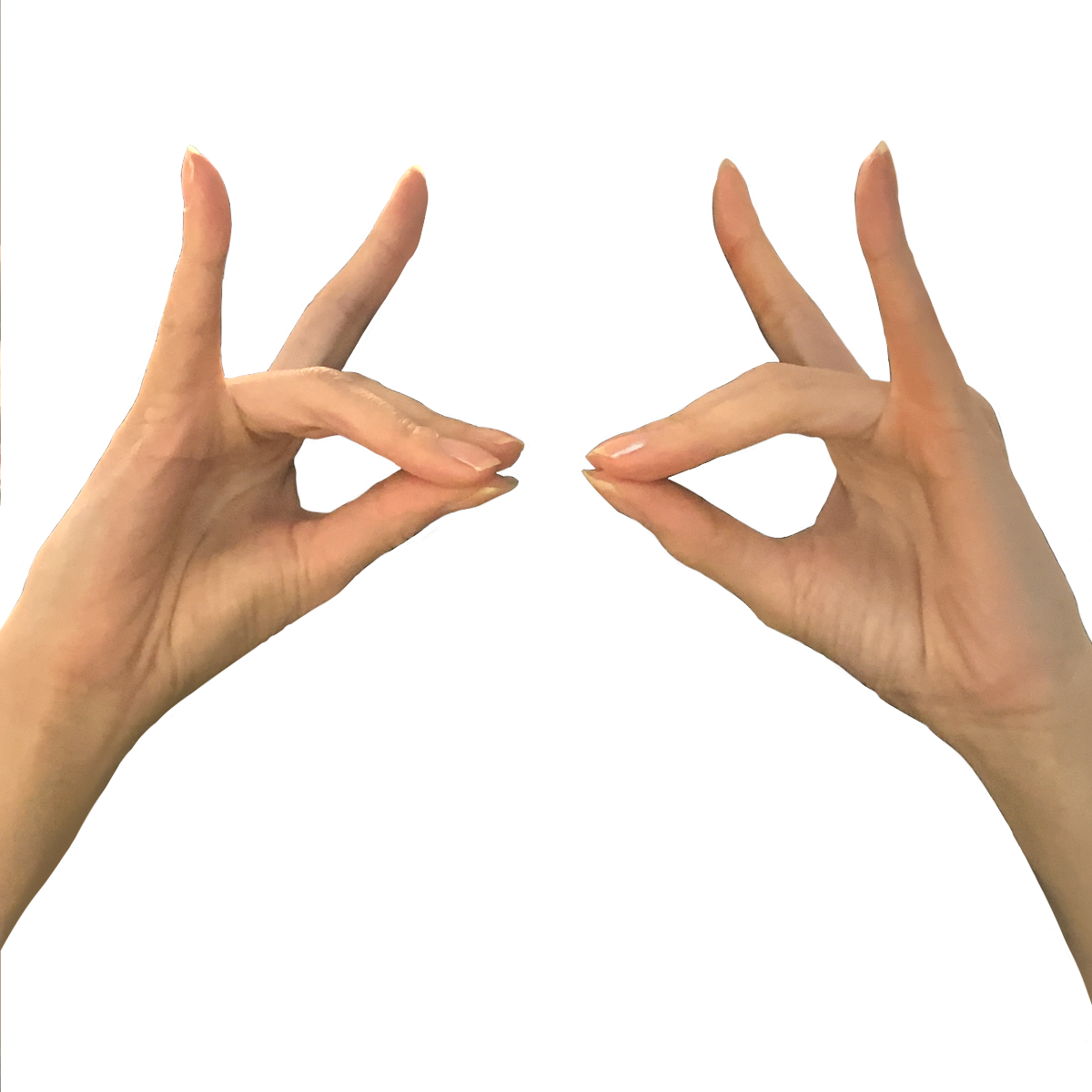 【両手】狐の窓[01]　写真